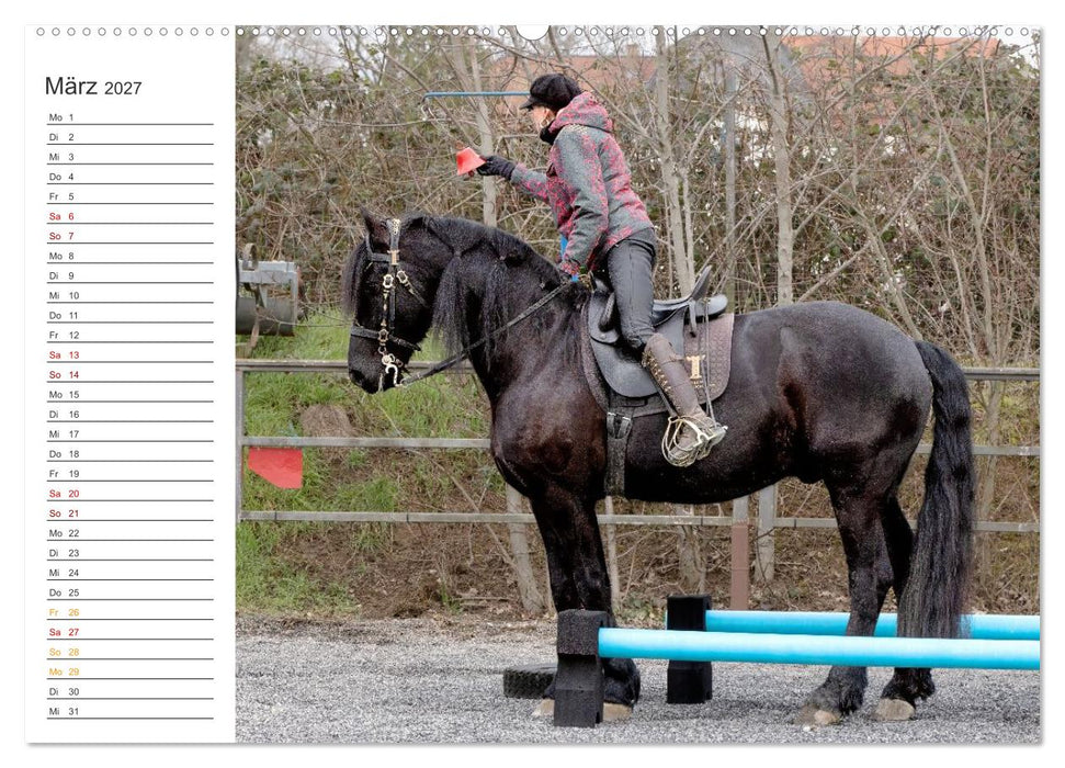 Working Equitation (CALVENDO Premium Wandkalender 2027)