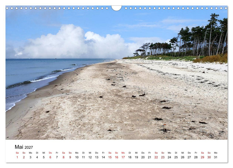 Fischland-Darß-Zingst - Traumhafte Ostseelandschaften (CALVENDO Wandkalender 2027)
