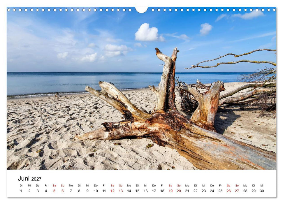 Fischland-Darß-Zingst - Traumhafte Ostseelandschaften (CALVENDO Wandkalender 2027)
