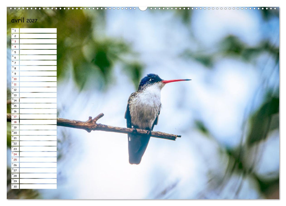 Arizona, une rencontre avec la nature (CALVENDO Calendrier mensuel 2027)