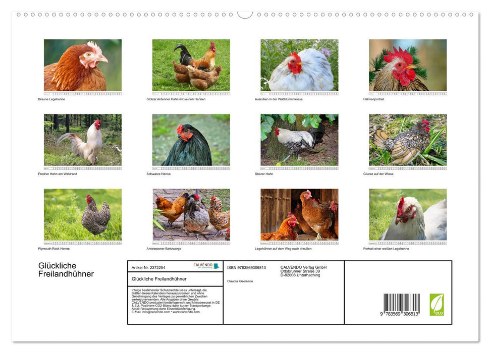 Glückliche Freilandhühner (CALVENDO Premium Wandkalender 2027)