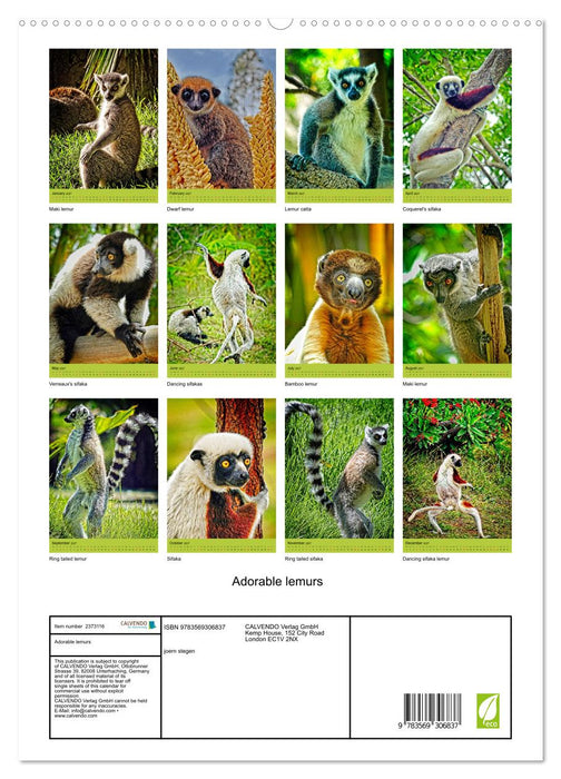Adorable lemurs (CALVENDO Premium-Calendar 2027)