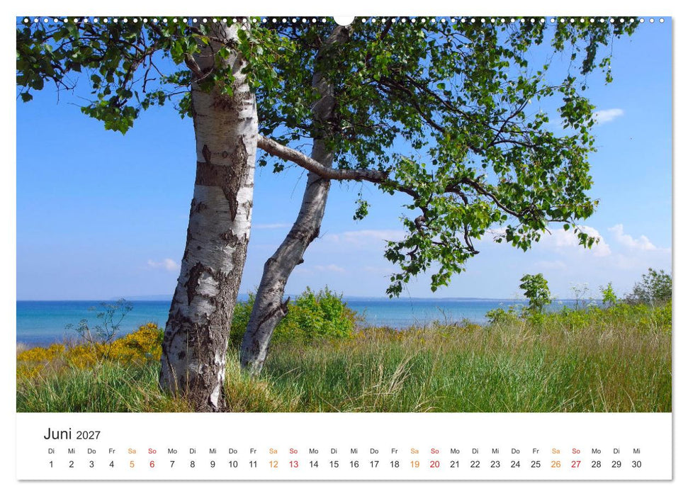 Wald macht glücklich (CALVENDO Premium Wandkalender 2027)