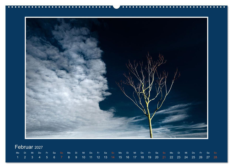 Ins Blaue.Variationen einer besonderen Farbe in norddeutscher Landschaft. (CALVENDO Wandkalender 2027)