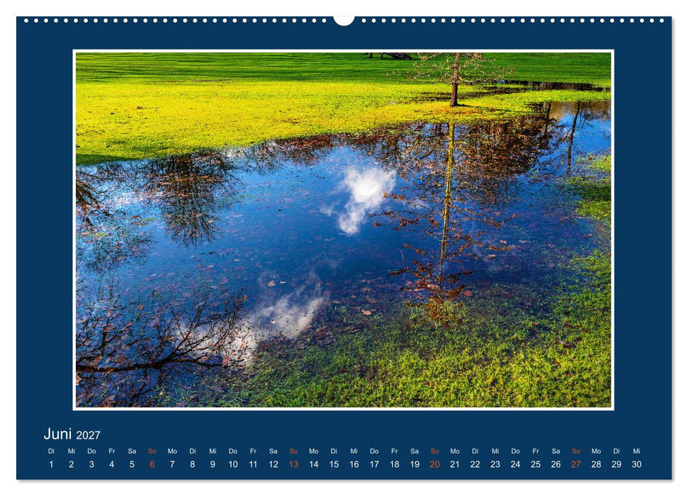 Ins Blaue.Variationen einer besonderen Farbe in norddeutscher Landschaft. (CALVENDO Wandkalender 2027)