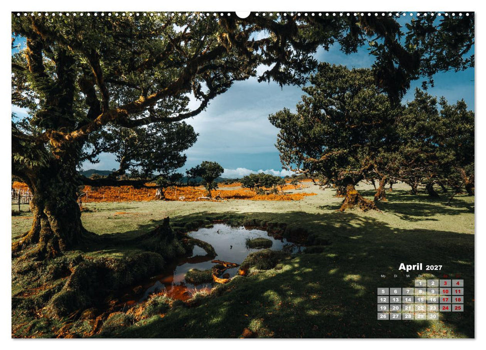 Trauminsel Madeira (CALVENDO Wandkalender 2027)