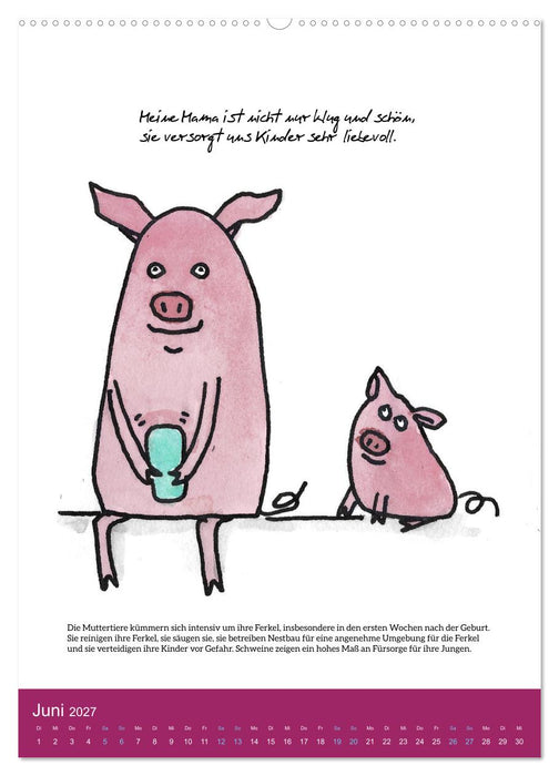 Schweinekalender - Alles was du über Schweine wissen wolltest! (CALVENDO Wandkalender 2027)