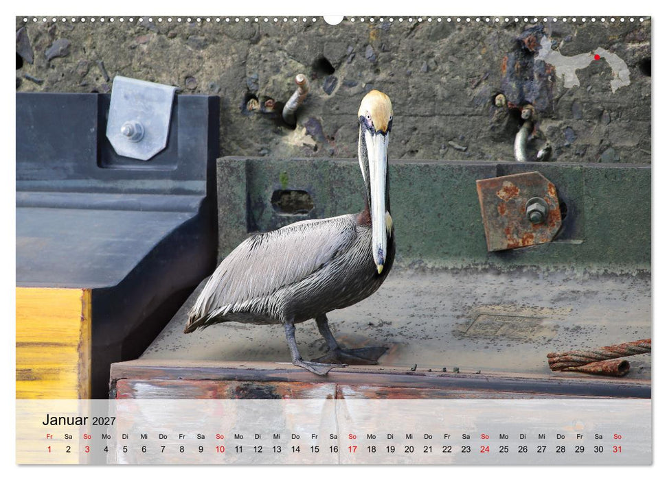 Costa Rica - Panama - Nicaragua (CALVENDO Wandkalender 2027)