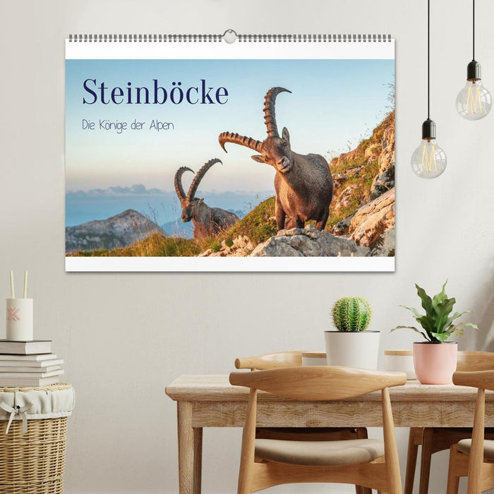 Steinböcke - Die Könige der Alpen (CALVENDO Wandkalender 2027)