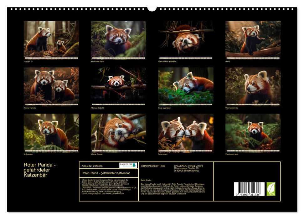 Roter Panda - gefährdeter Katzenbär (CALVENDO Premium Wandkalender 2027)