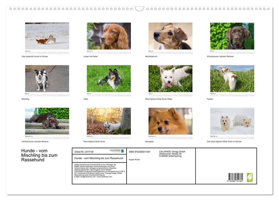 Hunde - vom Mischling bis zum Rassehund (CALVENDO Wandkalender 2027)
