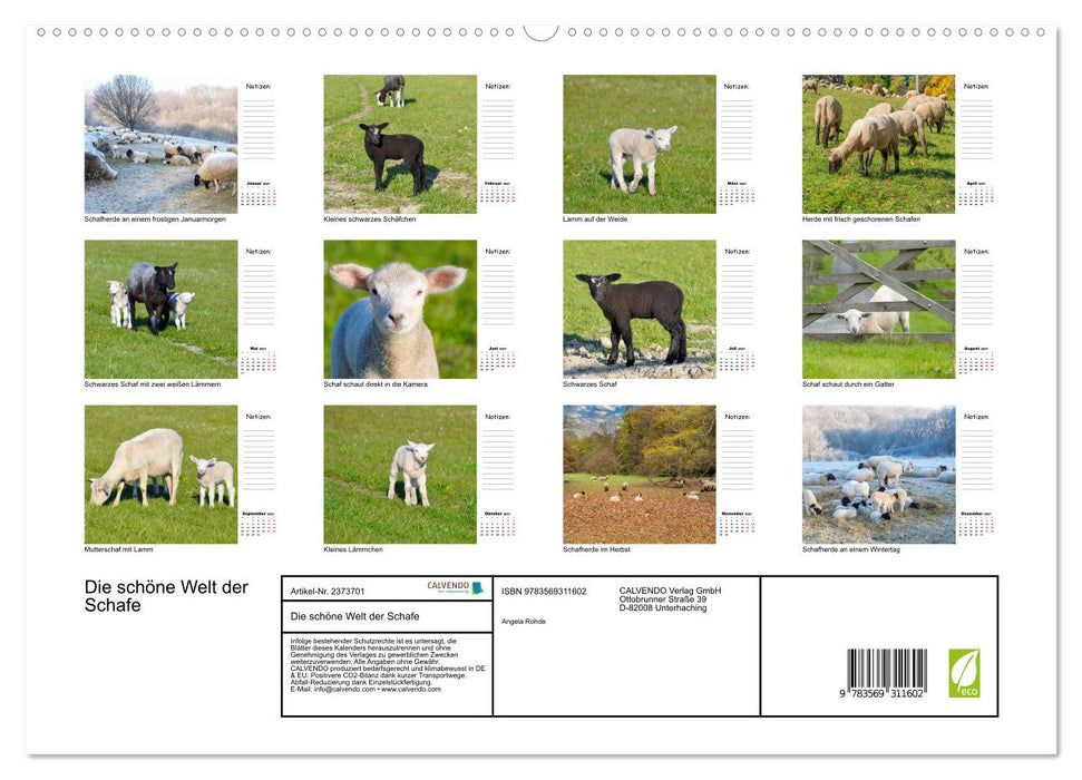 Die schöne Welt der Schafe (CALVENDO Premium Wandkalender 2027)