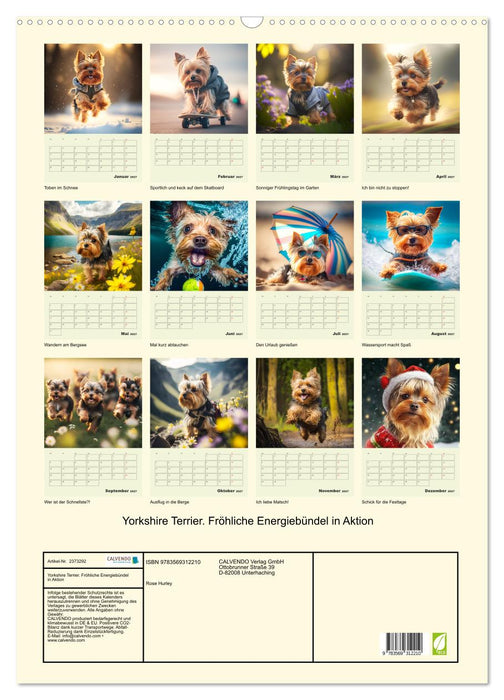 Yorkshire Terrier. Fröhliche Energiebündel in Aktion (CALVENDO Wandkalender 2027)