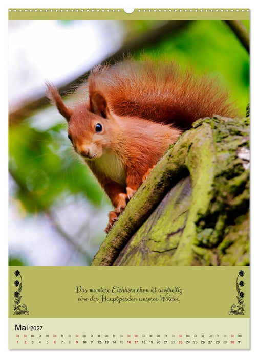 Buntes Tierleben (CALVENDO Premium Wandkalender 2027)