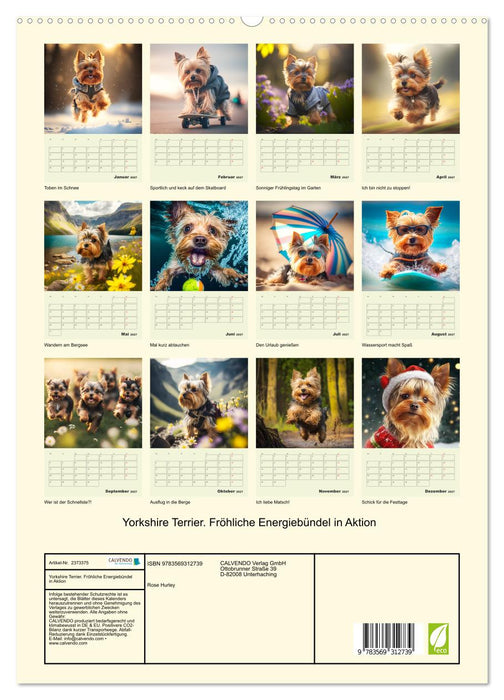 Yorkshire Terrier. Fröhliche Energiebündel in Aktion (CALVENDO Premium Wandkalender 2027)