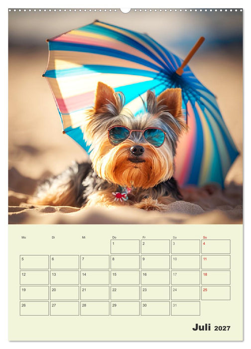 Yorkshire Terrier. Fröhliche Energiebündel in Aktion (CALVENDO Premium Wandkalender 2027)