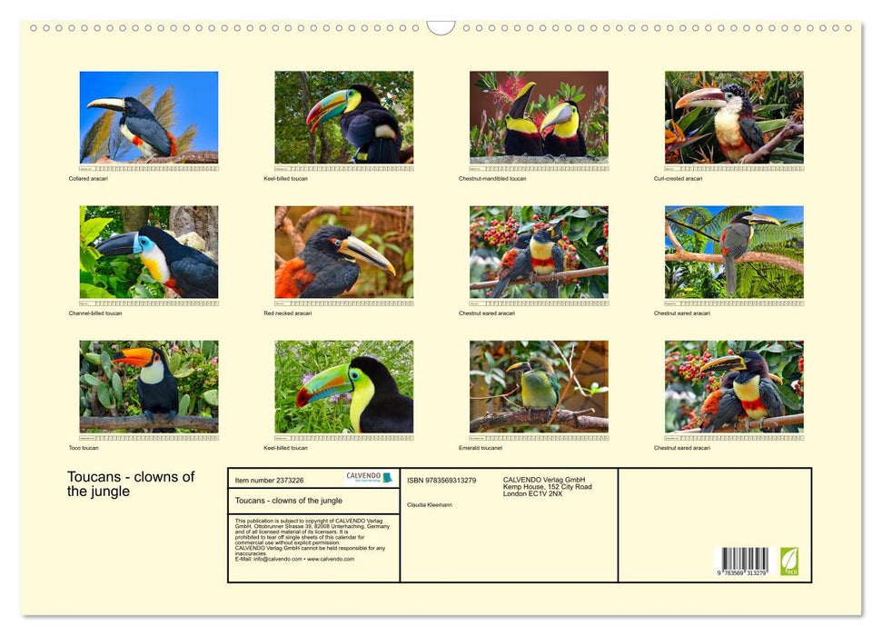 Toucans - clowns of the jungle (CALVENDO Monthly Calendar 2027)