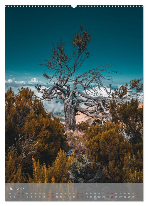 Madeira - Zauber einer Insel (CALVENDO Premium Wandkalender 2027)
