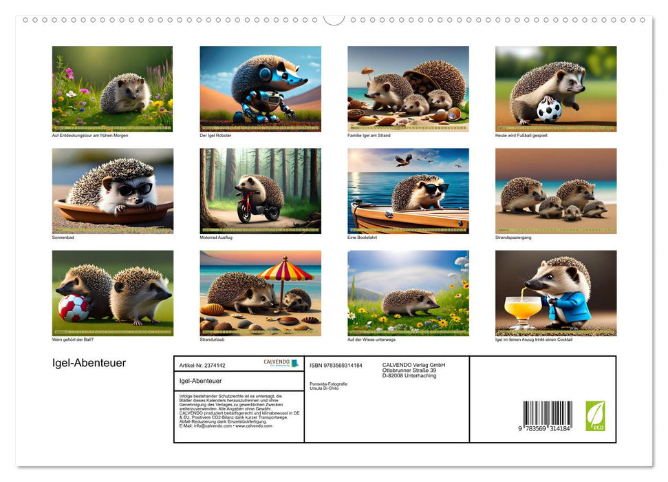 Igel-Abenteuer (CALVENDO Premium Wandkalender 2027)