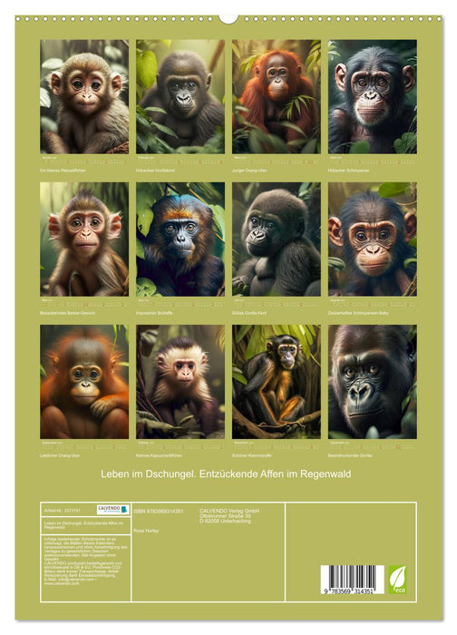 Leben im Dschungel. Entzückende Affen im Regenwald (CALVENDO Premium Wandkalender 2027)