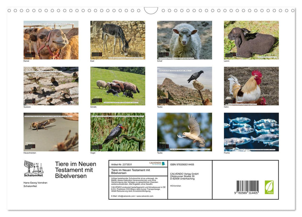 Tiere im Neuen Testament mit Bibelversen (CALVENDO Wandkalender 2027)