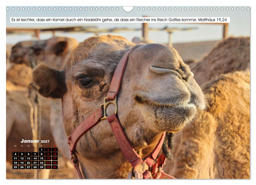 Tiere im Neuen Testament mit Bibelversen (CALVENDO Wandkalender 2027)