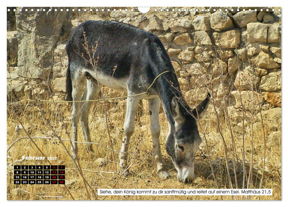 Tiere im Neuen Testament mit Bibelversen (CALVENDO Wandkalender 2027)
