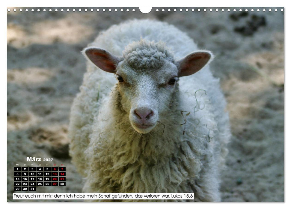 Tiere im Neuen Testament mit Bibelversen (CALVENDO Wandkalender 2027)