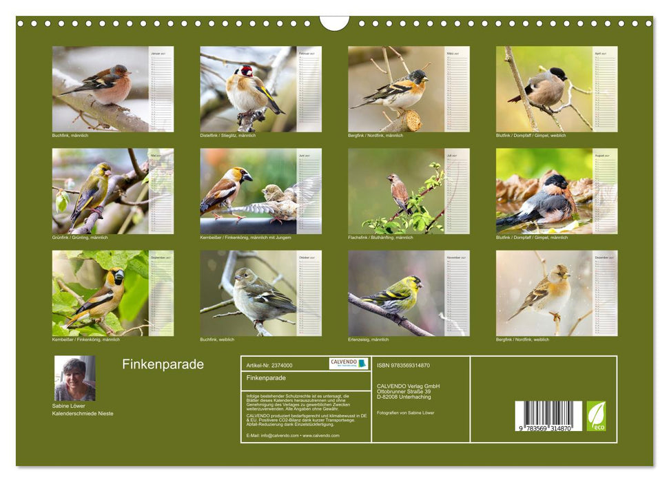 Finkenparade (CALVENDO Wandkalender 2027)