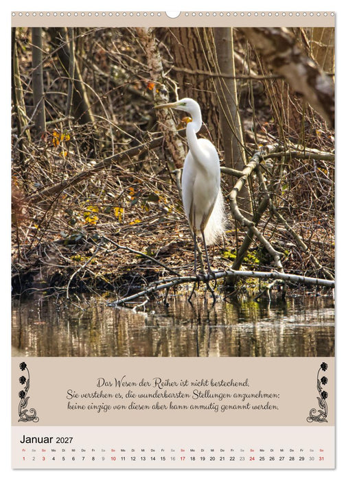 Buntes Tierleben (CALVENDO Wandkalender 2027)