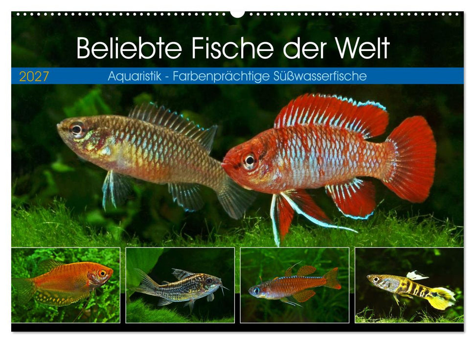 Beliebte Fische der Welt (CALVENDO Wandkalender 2027)