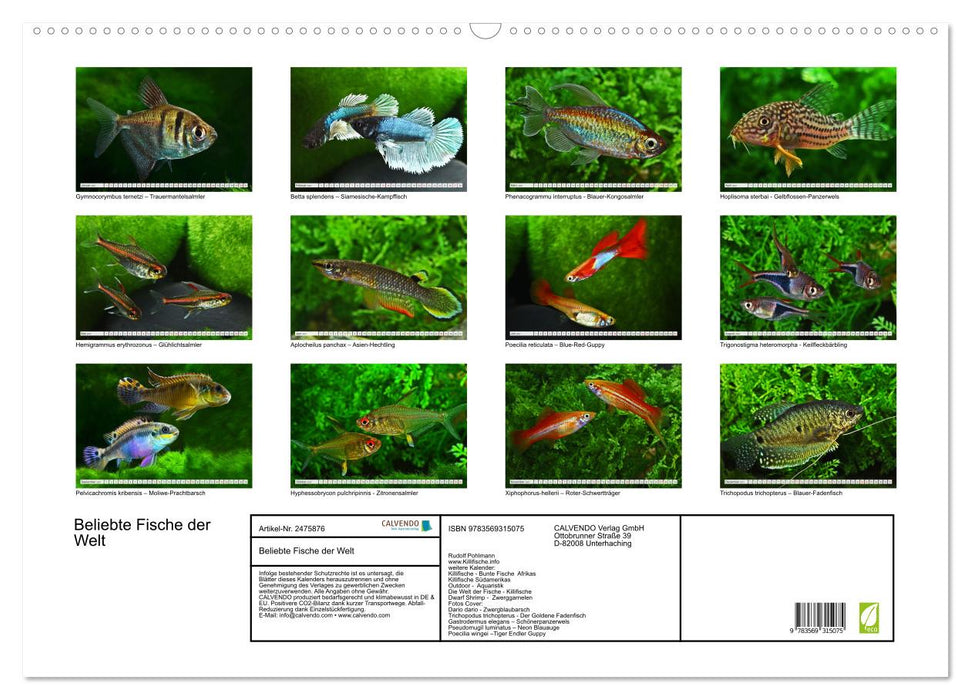Beliebte Fische der Welt (CALVENDO Wandkalender 2027)