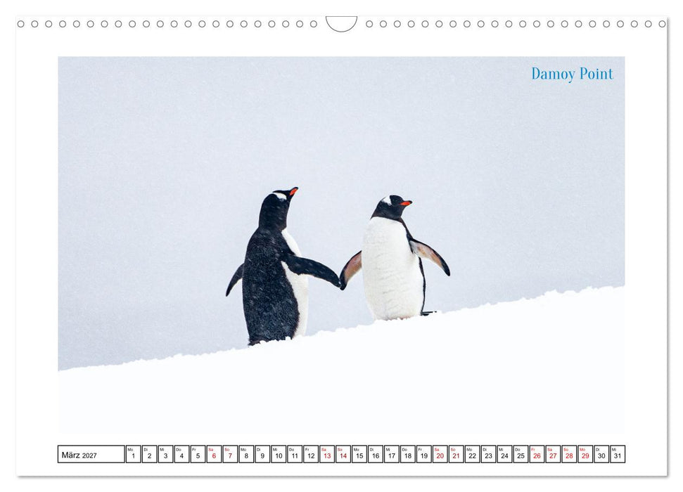 Die Antarktis - Eis, Meer und wilde Tiere (CALVENDO Wandkalender 2027)