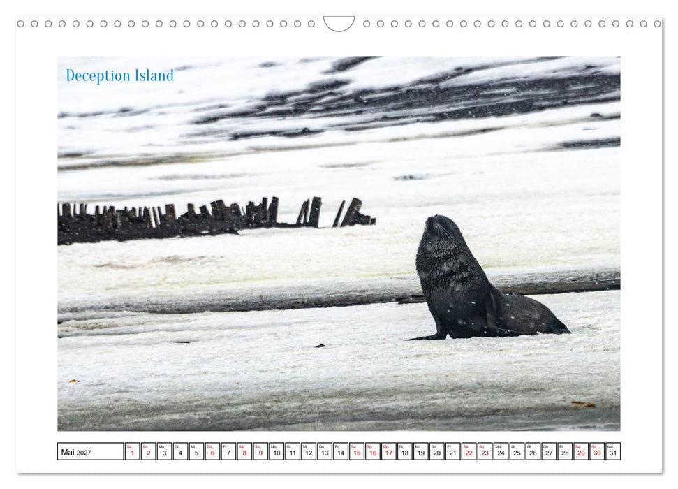 Die Antarktis - Eis, Meer und wilde Tiere (CALVENDO Wandkalender 2027)