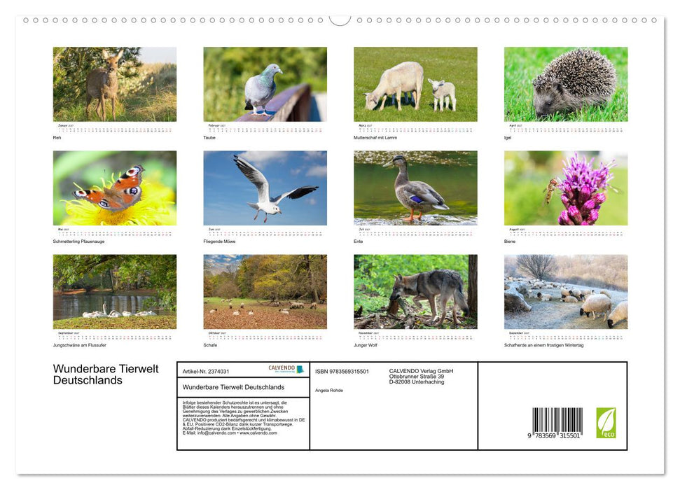Wunderbare Tierwelt Deutschlands (CALVENDO Premium Wandkalender 2027)