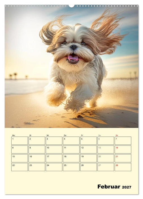 Shih Tzu Alarm. Glückliche Wuschelköpfe (CALVENDO Wandkalender 2027)