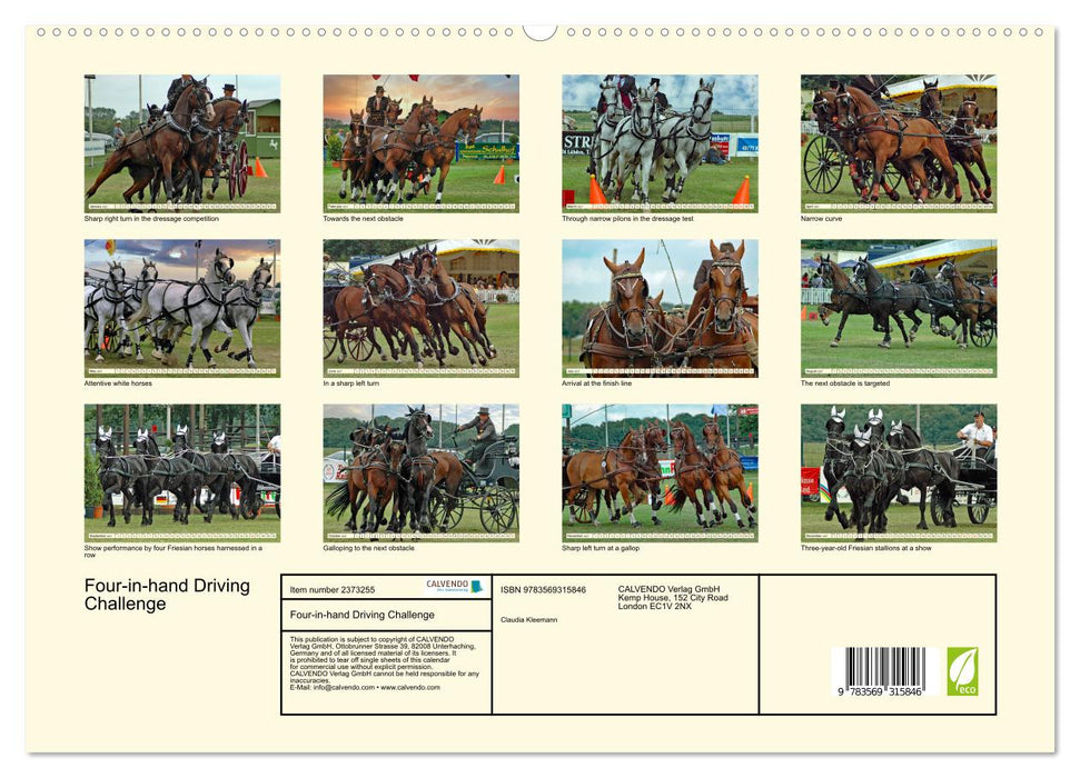 Four-in-hand Driving Challenge (CALVENDO Premium-Calendar 2027)