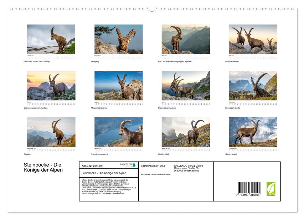 Steinböcke - Die Könige der Alpen (CALVENDO Premium Wandkalender 2027)