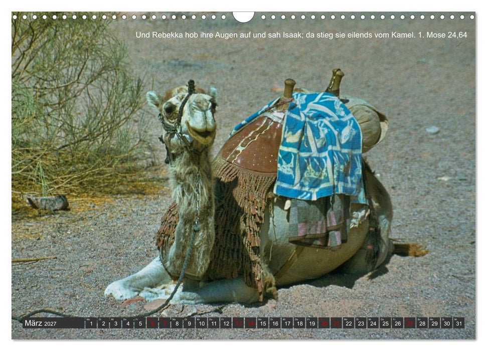 Tiere in der Hebräischen Bibel mit Bibelversen (CALVENDO Wandkalender 2027)