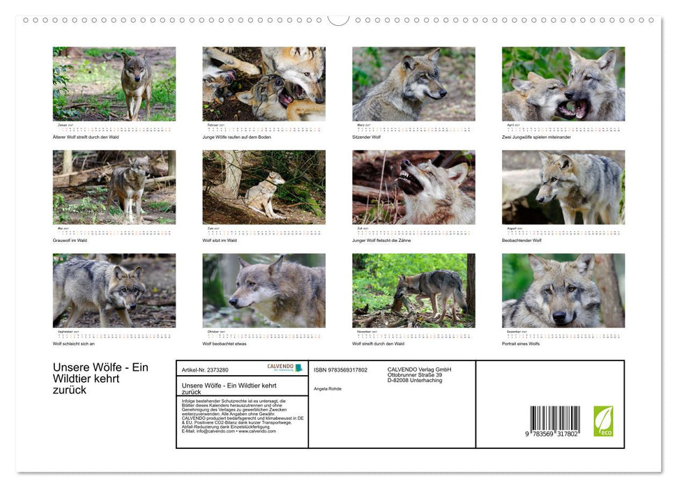 Unsere Wölfe - Ein Wildtier kehrt zurück (CALVENDO Premium Wandkalender 2027)