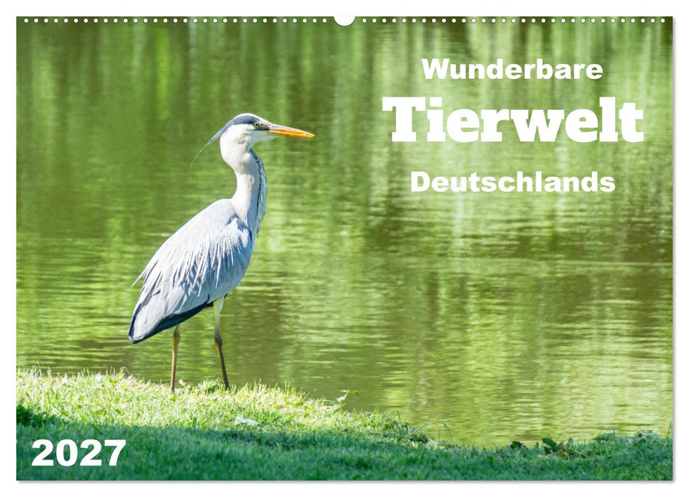 Wunderbare Tierwelt Deutschlands (CALVENDO Wandkalender 2027)