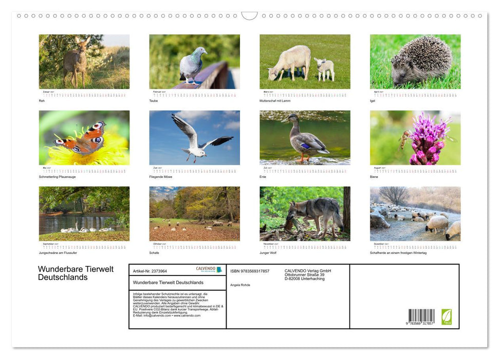 Wunderbare Tierwelt Deutschlands (CALVENDO Wandkalender 2027)