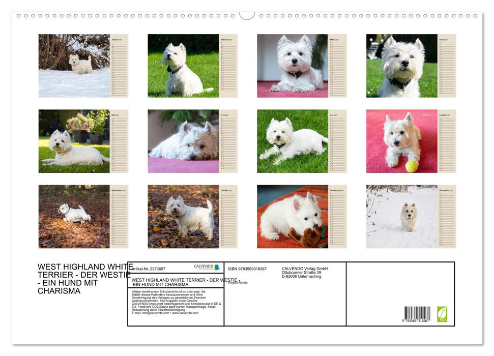 WEST HIGHLAND WHITE TERRIER - DER WESTIE - EIN HUND MIT CHARISMA (CALVENDO Wandkalender 2027)