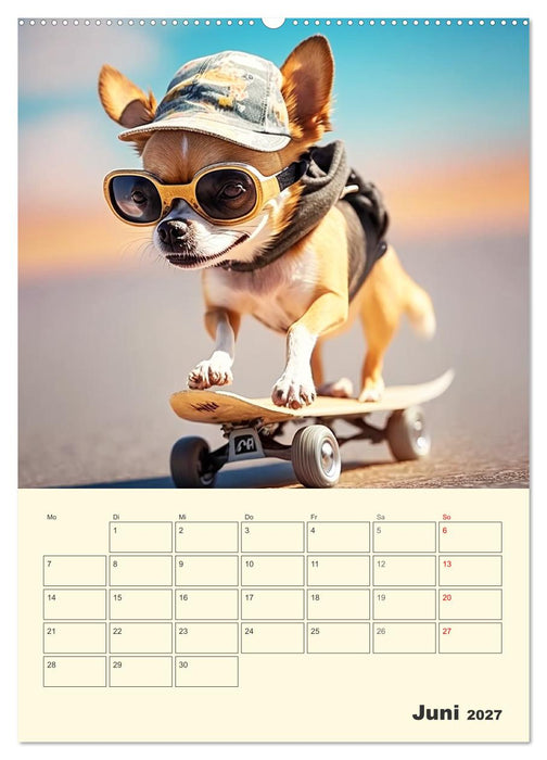Witzige Chihuahuas. Glückliche Temperamentbündel (CALVENDO Wandkalender 2027)