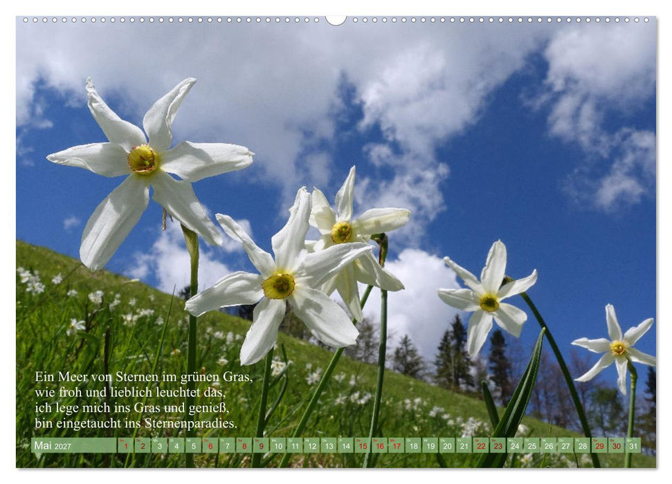 Naturschönheiten und Poesie in Kärnten und Umgebung (CALVENDO Wandkalender 2027)