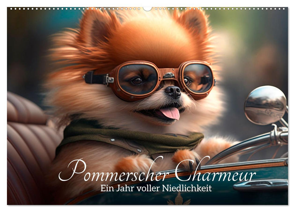 Pommerscher Charmeur Ein Jahr voller Niedlichkeit (CALVENDO Wandkalender 2027)