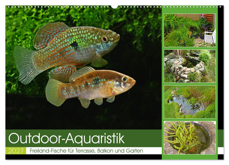 Outdoor-Aquaristik (CALVENDO Wandkalender 2027)