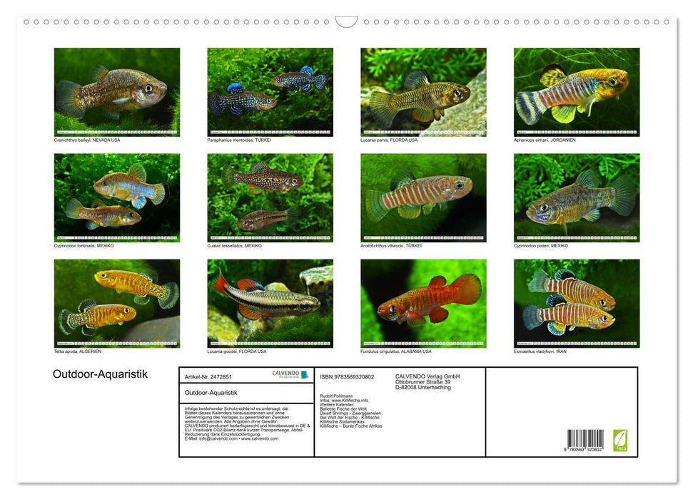 Outdoor-Aquaristik (CALVENDO Wandkalender 2027)