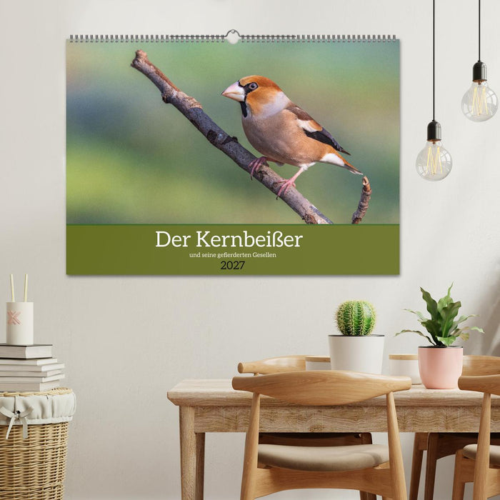 Der Kernbeißer und seine gefiederten Gesellen (CALVENDO Wandkalender 2027)
