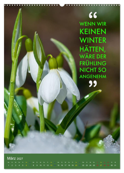 Die vier Jahreszeiten begleitet mit Sprüchen (CALVENDO Wandkalender 2027)